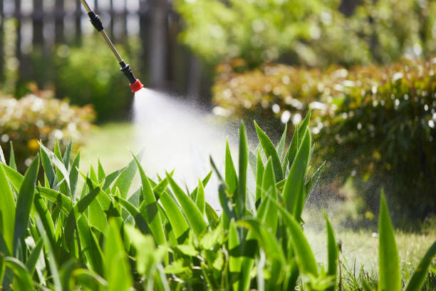 24/7 Emergency Ant Control experts in Coos Bay, OR